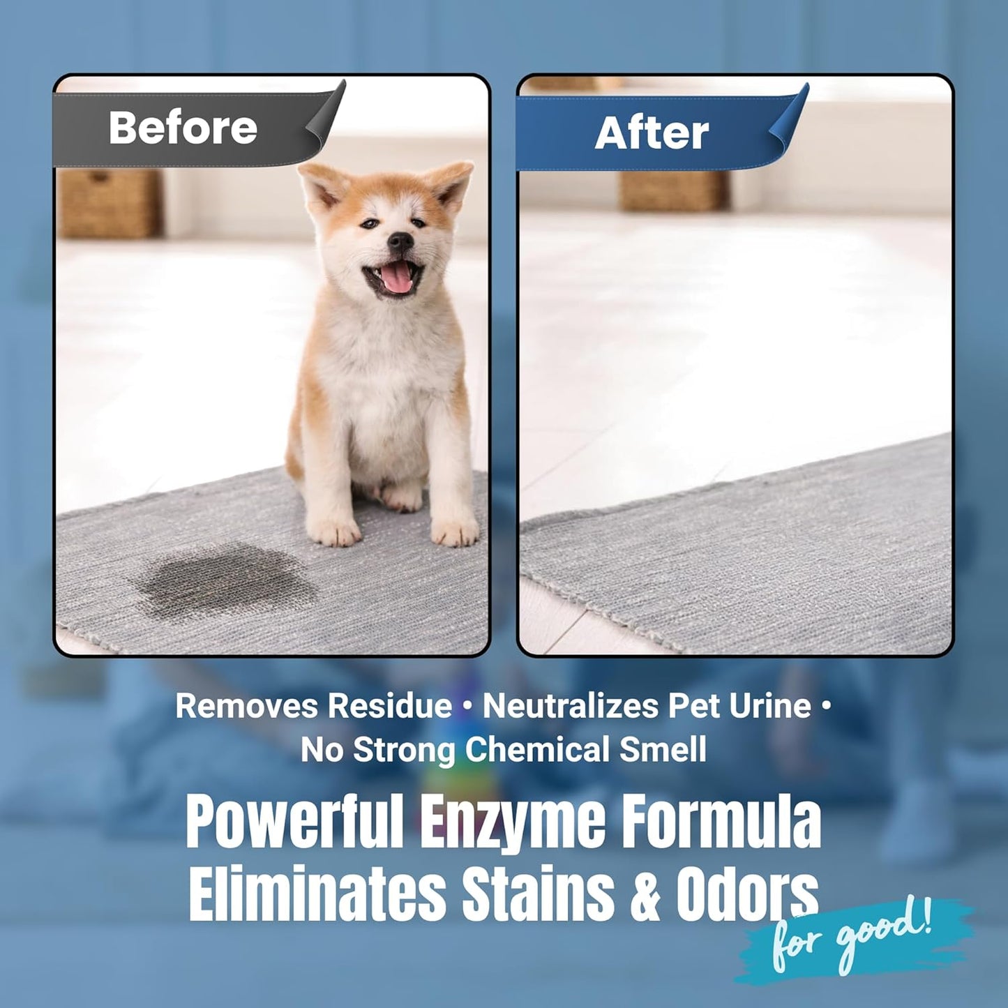 Bioclean Pet Carpet Cleaner